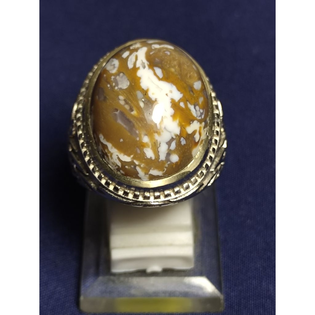 Natural Kelor Petrified Wood / Batu Fosil Kayu Kelor, 2