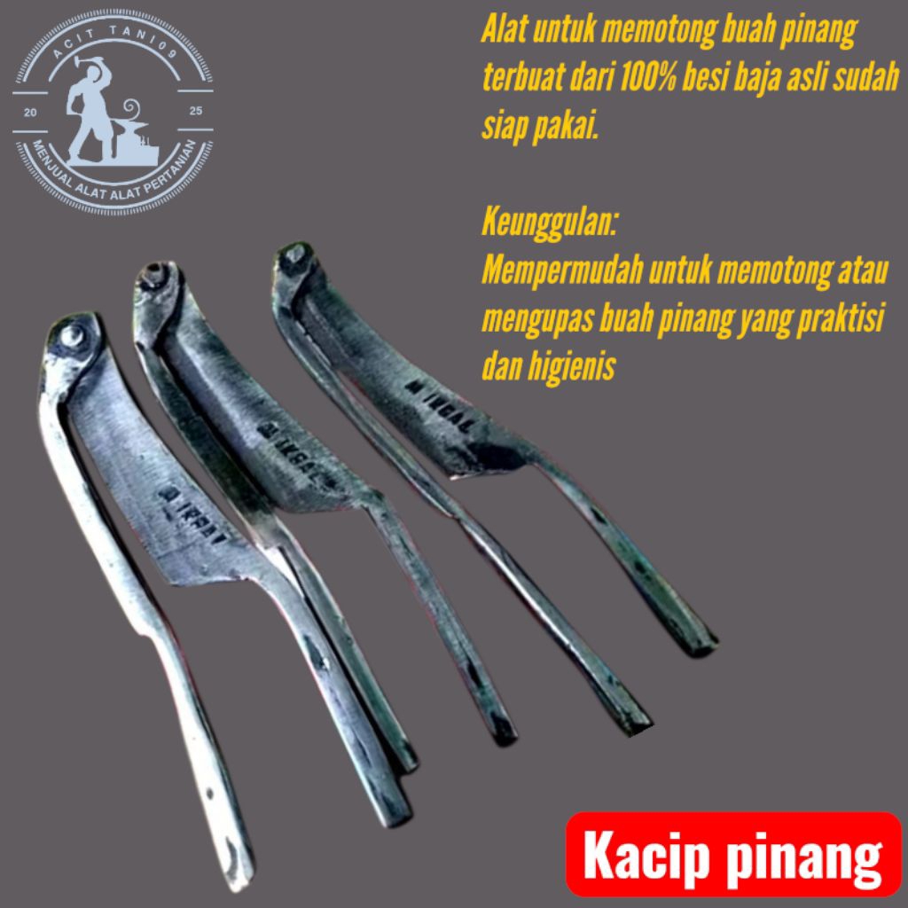 kacip/Alat untuk memotong buah pinang