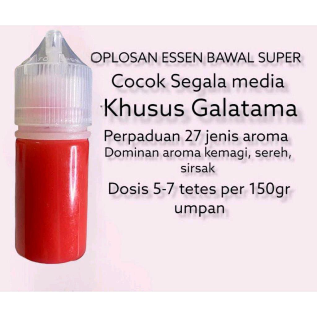 Essen Khusus Ikan Bawal Paling Gacor Essen Khusus Ikan Bawal Media Tahu Paling Jitu Essen Khusus Ika