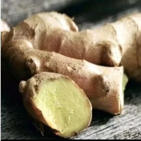 Kunyit Putih Segar/Kunyit Herbal/1kg