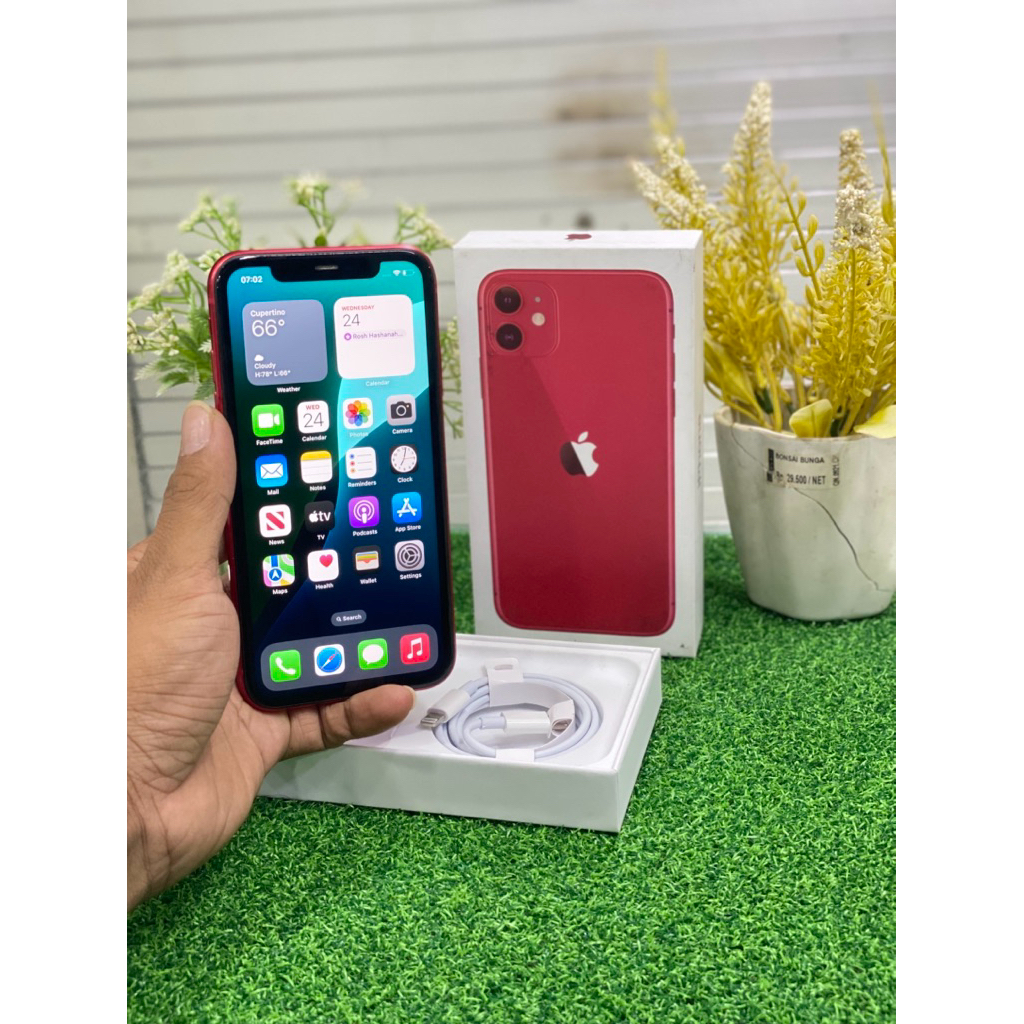 Iphone 11 128 Ibox red super like new resmi apple