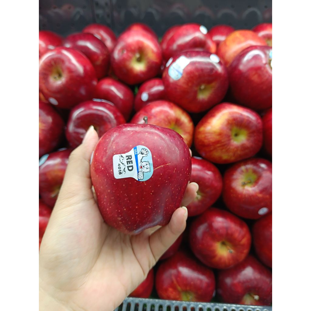 Apel Washington Merah JUMBO USA / Kg
