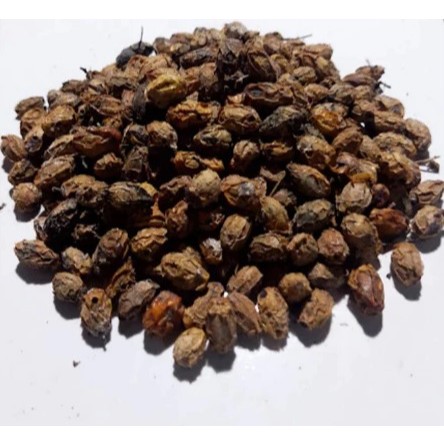 100 gram Buah Mimba Kering / Biji Mindi Kering Alami