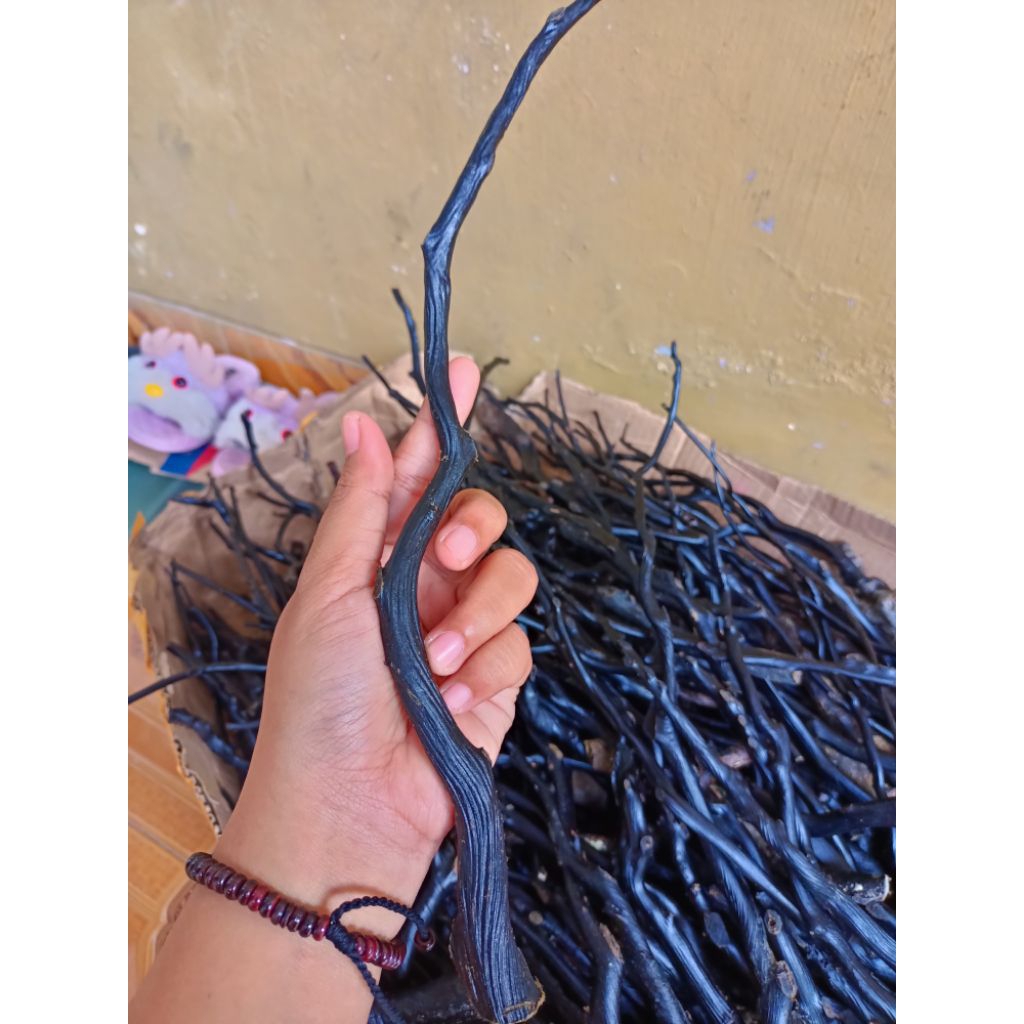 BAHAN AKAR BAHAR HITAM ASLI KANTORAN SERAT PADATT MURAH