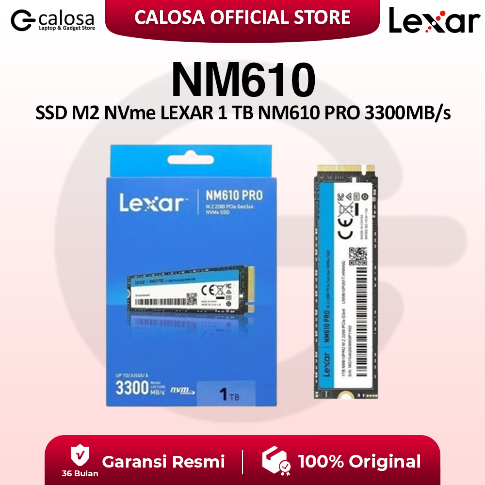 Lexar NM610 PRO M.2 2280 PCIe Gen3x4 NVMe SSD Original Garansi Resmi 3 Tahun - Varian 250GB / 500GB 