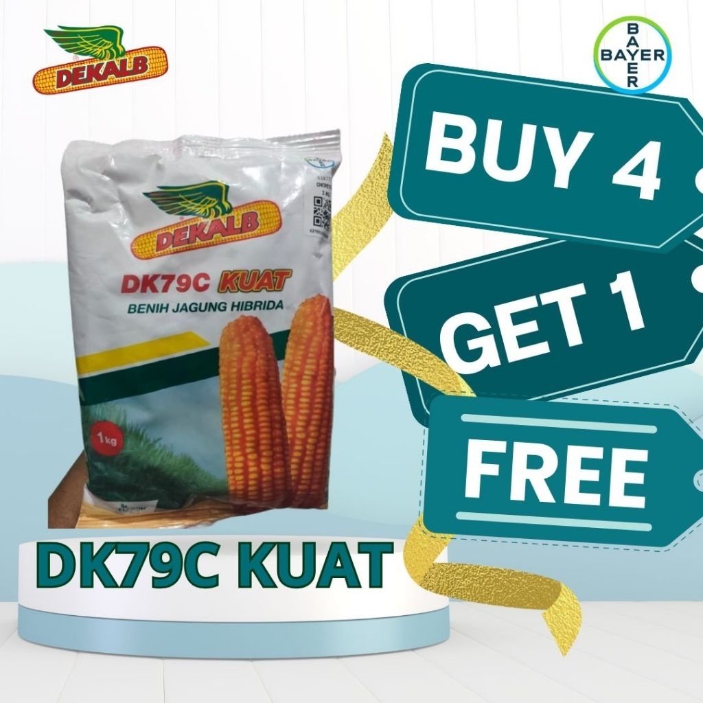 Benih Jagung DK79c Kuat 1 kg Beli 4 gratis 1