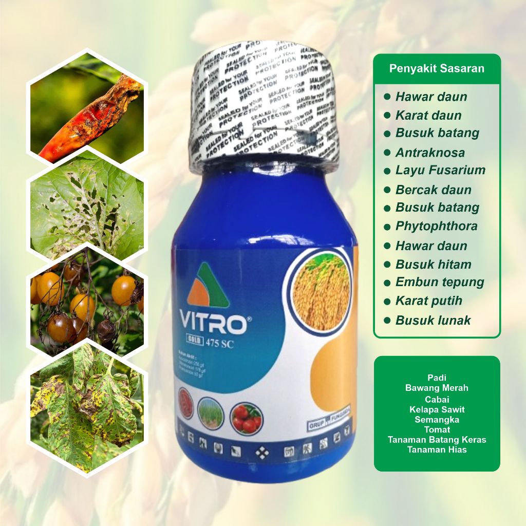 VITRO GOLD 250ml - Fungisida 3 Bahan aktif azoksistrobin difenokonazol piraklostrobin