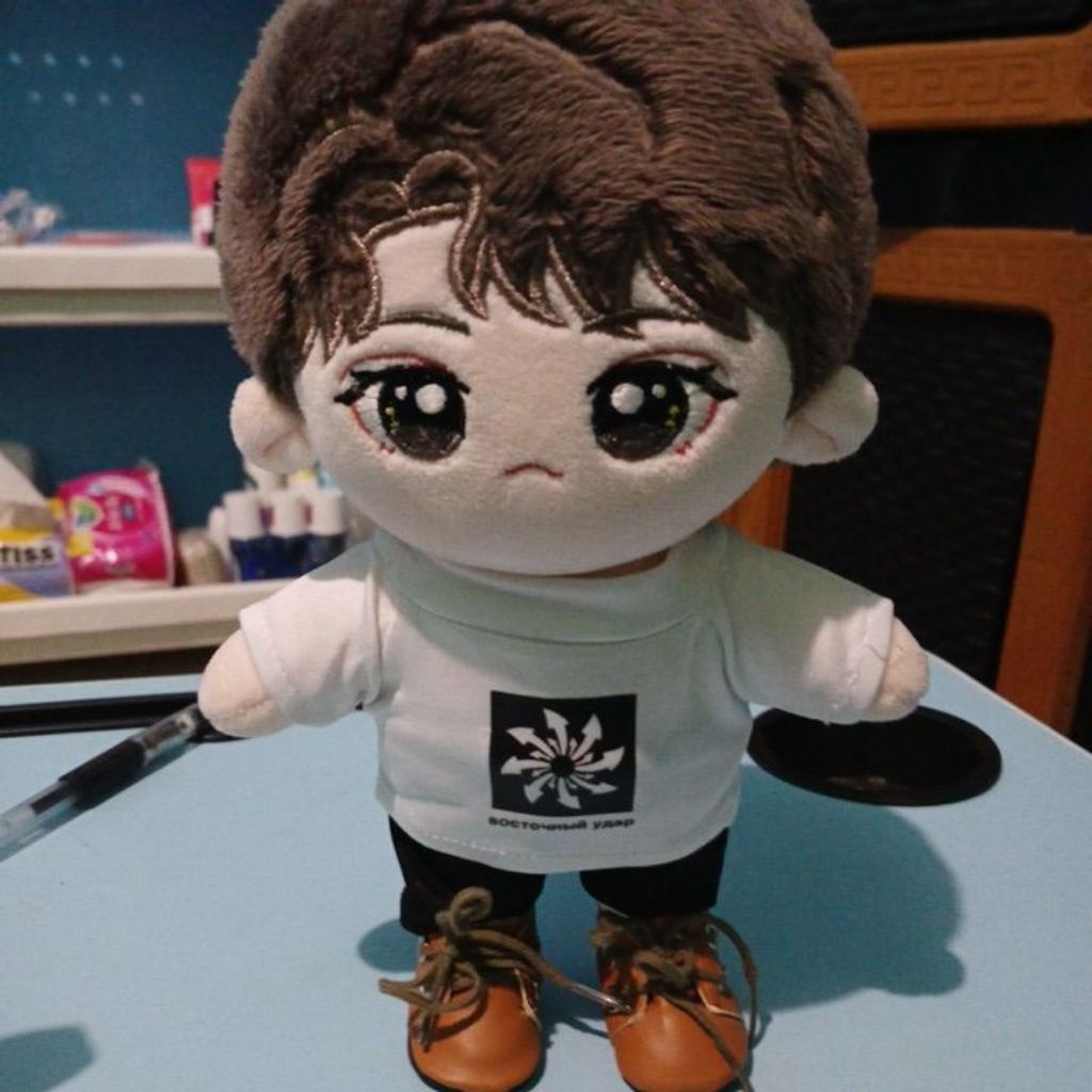 Preloved Doll/Plushie Wang Yibo 20cm Include Clothes