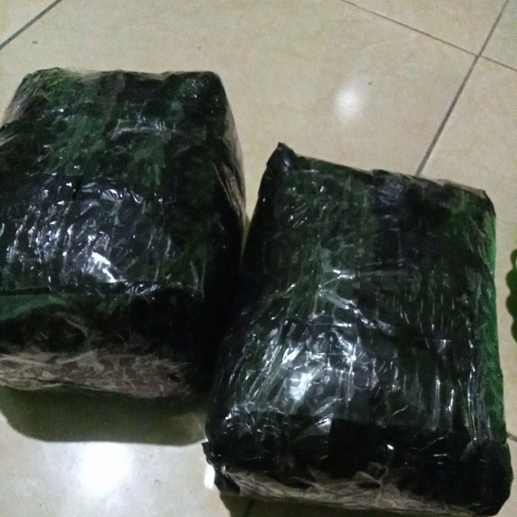 oyek singkong nasi tiwul