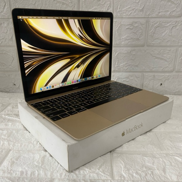 MacBook  Retina 2016 SSD 256gb