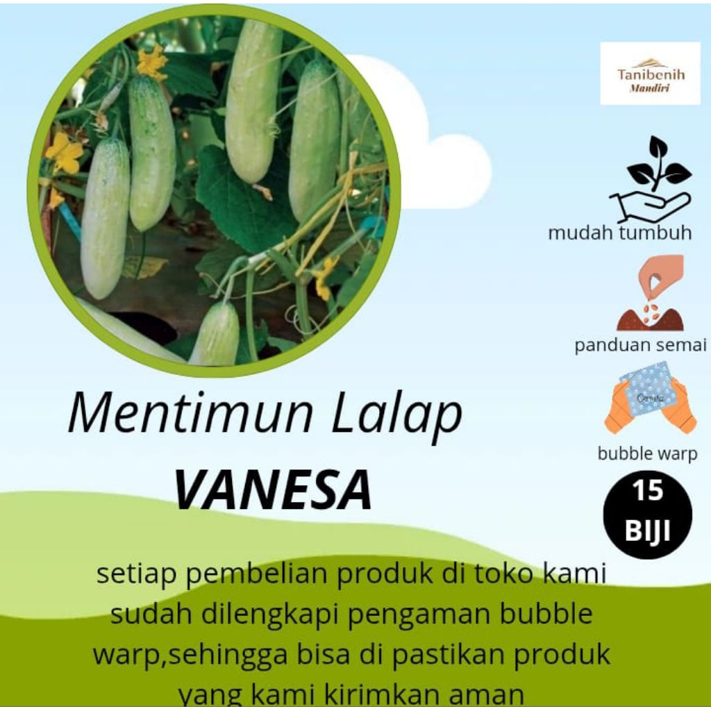 15 Biji benih Mentimun Lalap VANESA Cap Panah merah