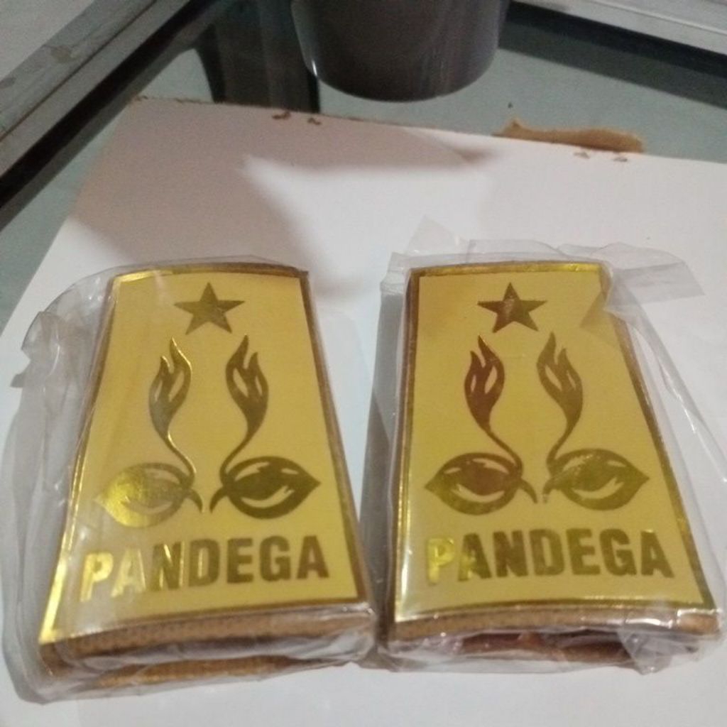Lambang Pramuka Pandega