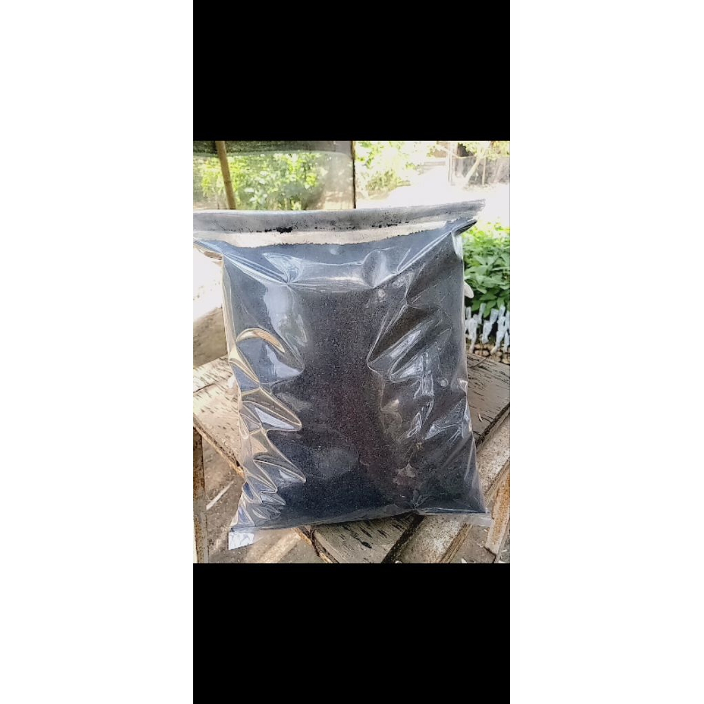 kohe kambing fermentasi halus