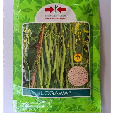 BUNCIS LOGAWA F1, 500 GR /Benih Buncis LOGAWA isi 500gram (Cap Panah Merah) /BENIH BUNCIS LOGAWA CAP