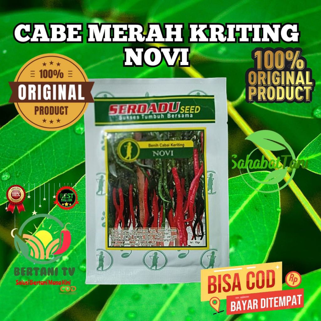 Cabe Merah Kriting NOVI 15 gram , Cabai keriting Novi adalah varietas cabai yang memiliki vigor tana