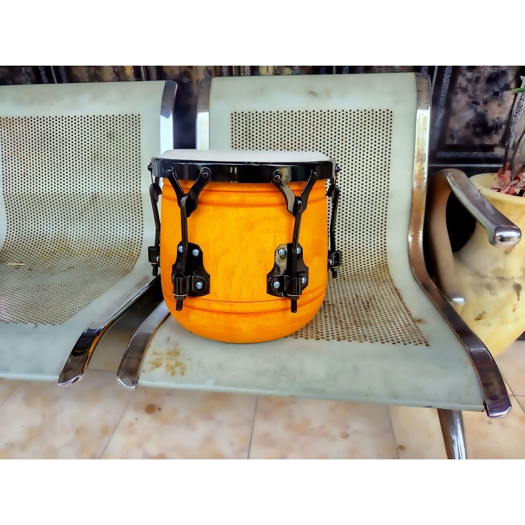 dut ketipung,V6 ring cat