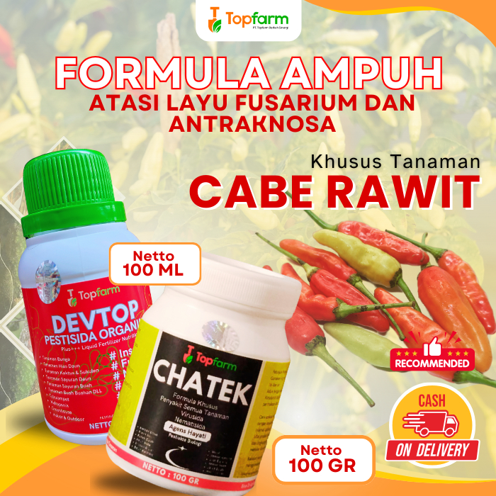 Pastisida Cabe Rawit / Obat Hama Cabe Rawit / Obat Hama Penyakit Pada Cabe Rawit / Obat Hama Daun Ca