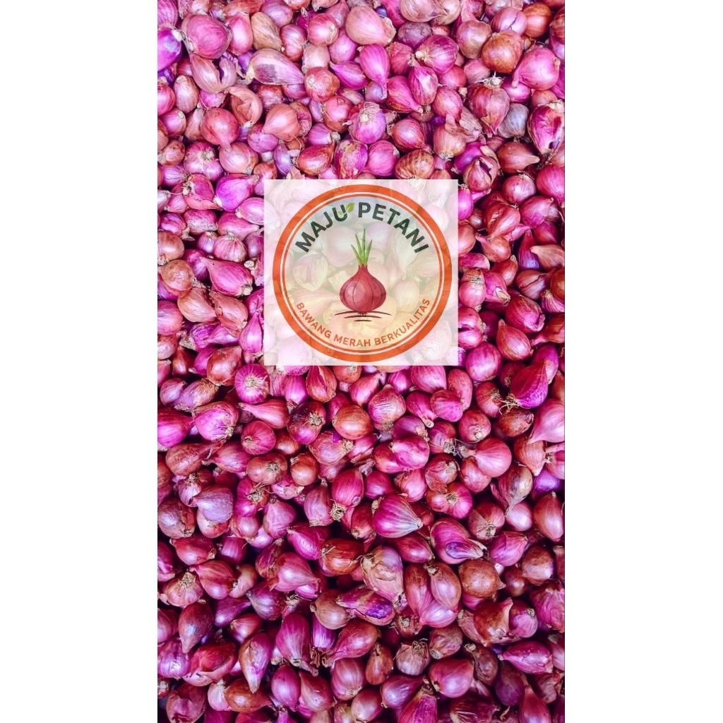 LANGSUNG KIRIM Bawang Merah Kering Segar Asli Nganjuk | Bumbu Dapur / Bawang Goreng | 500gr – 1kg