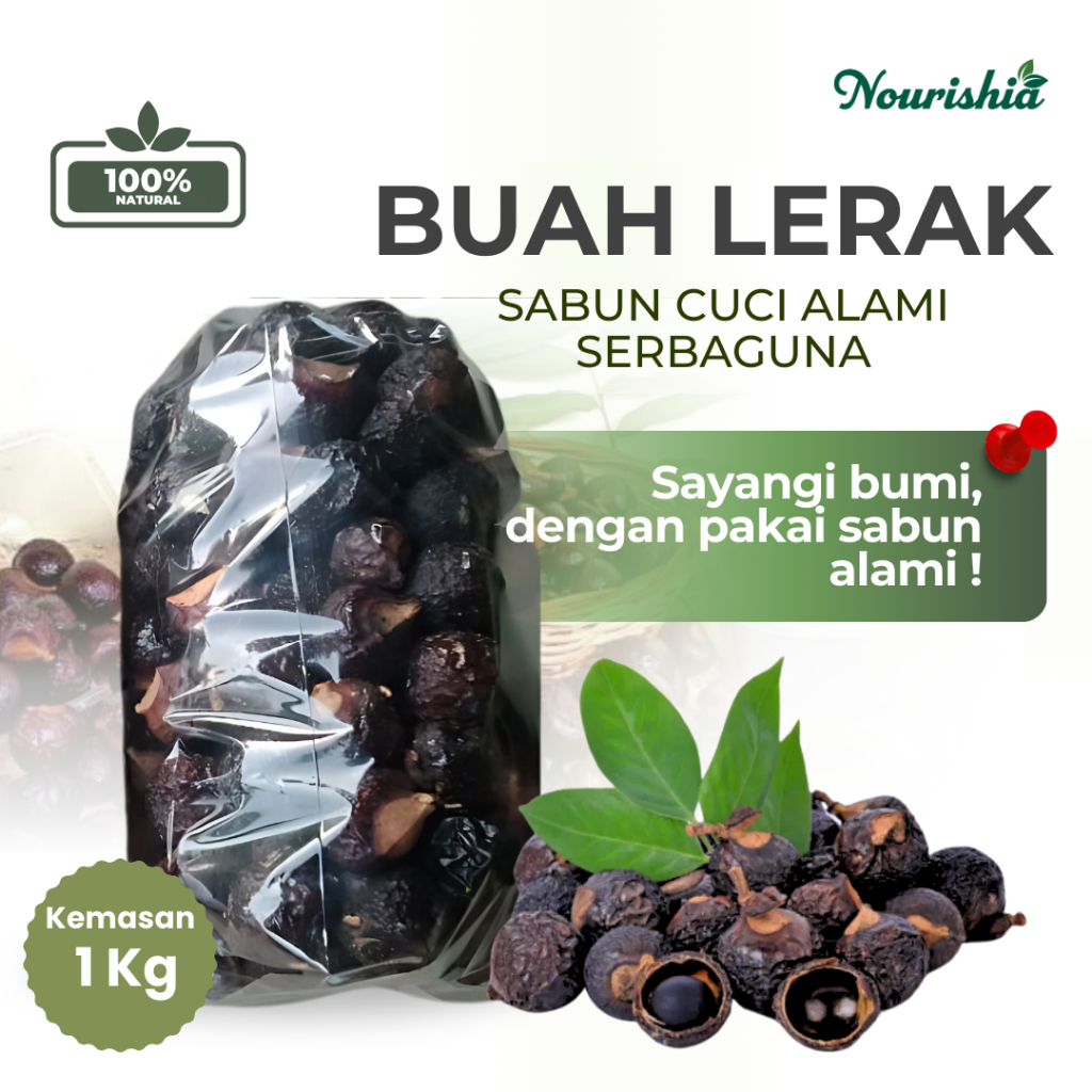 Buah lerak 1kg / buah klerek/ pembersih serbaguna (mandi, shampo, cuci, ngepel) Ramah lingkungan