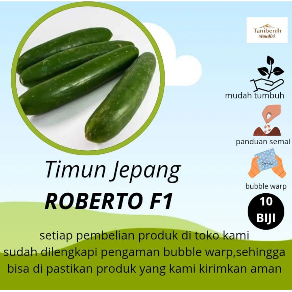 10 Biji Benih Timun Jepang ROBERTO F1