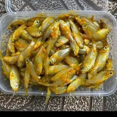 wader fresh berbumbu