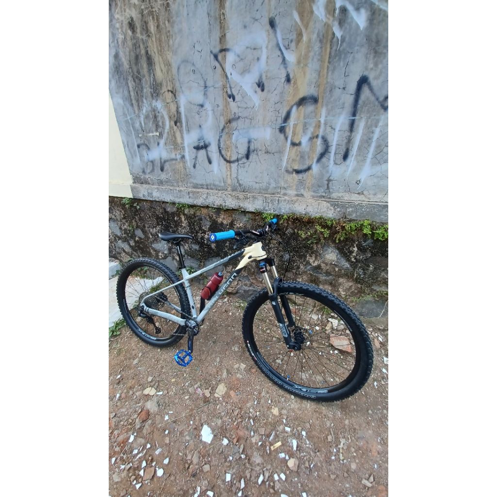 Sepeda Polygon Xtrada 6 29er