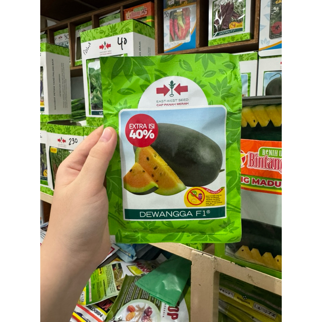 Bibit semangka dewangga f1 cap panah merah