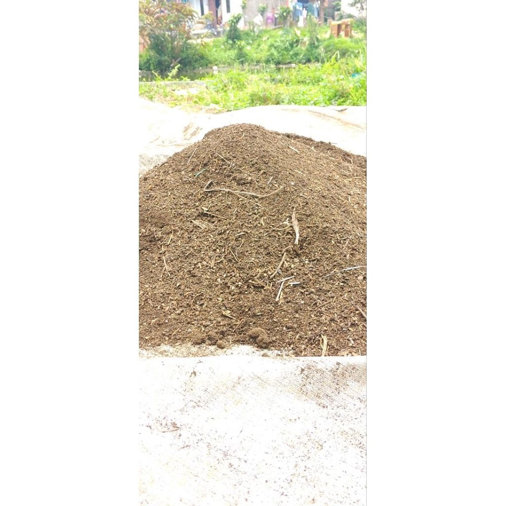 PUPUK KOTORAN KAMBING