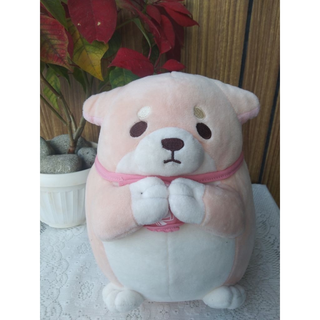 boneka shiba japan berdoa