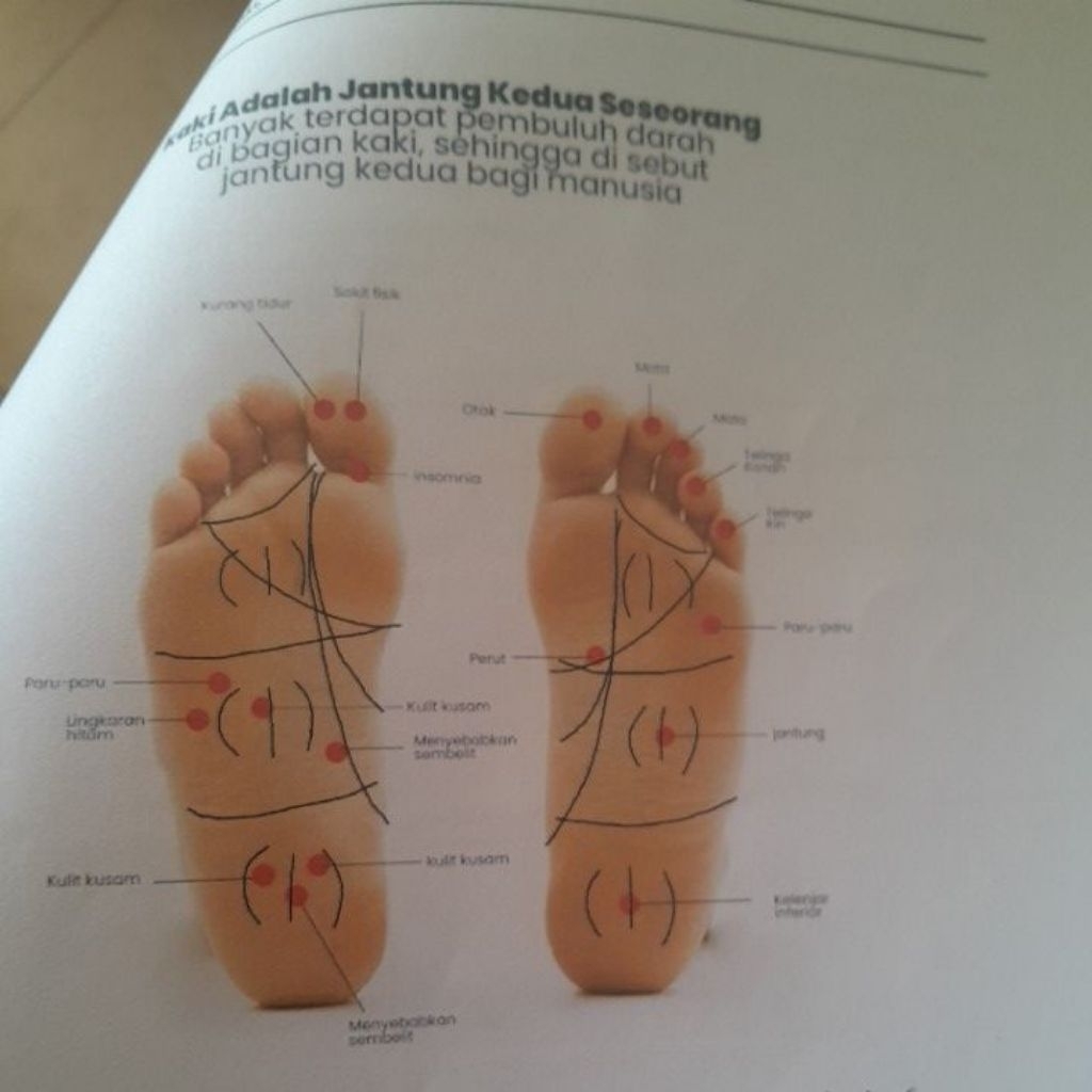 fotocopy/fotocopy berwarna