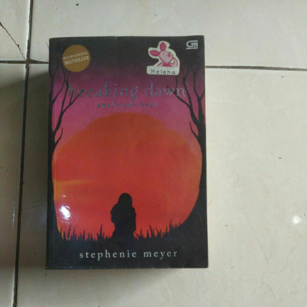 novel breaking dawn