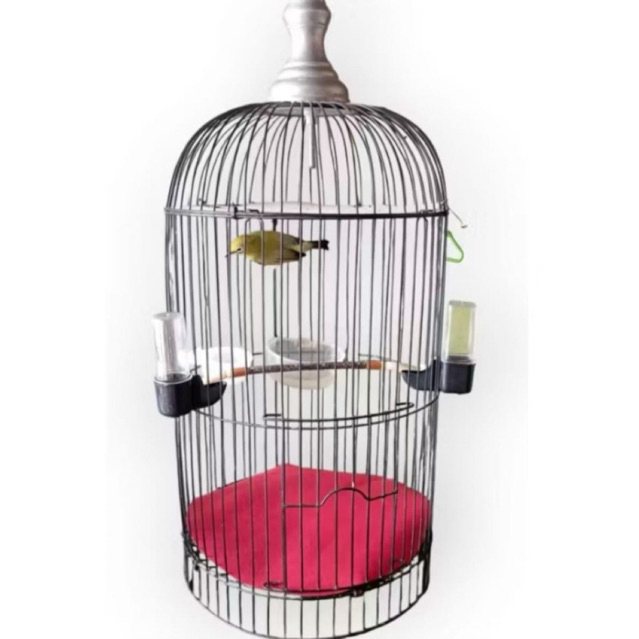 Cepuk Tabung Mini Pleci , Hamster , Tupai