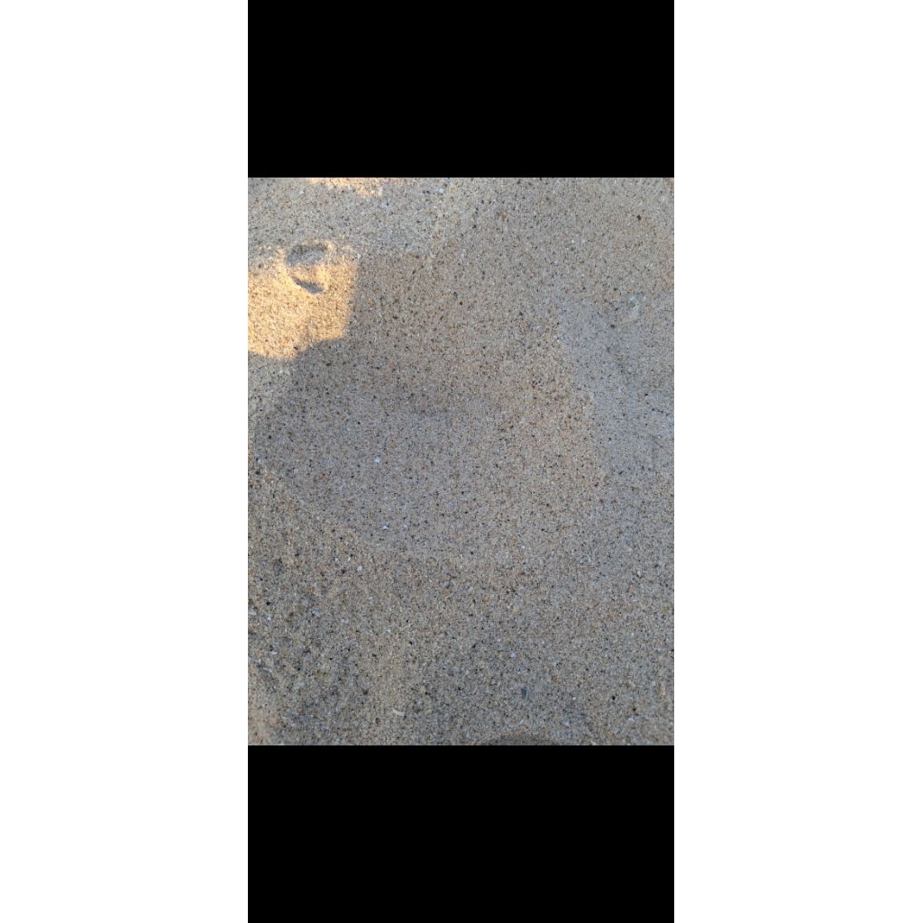 Pasir Putih Laut/ Pasir Aquarium/Mainan Pasir laut