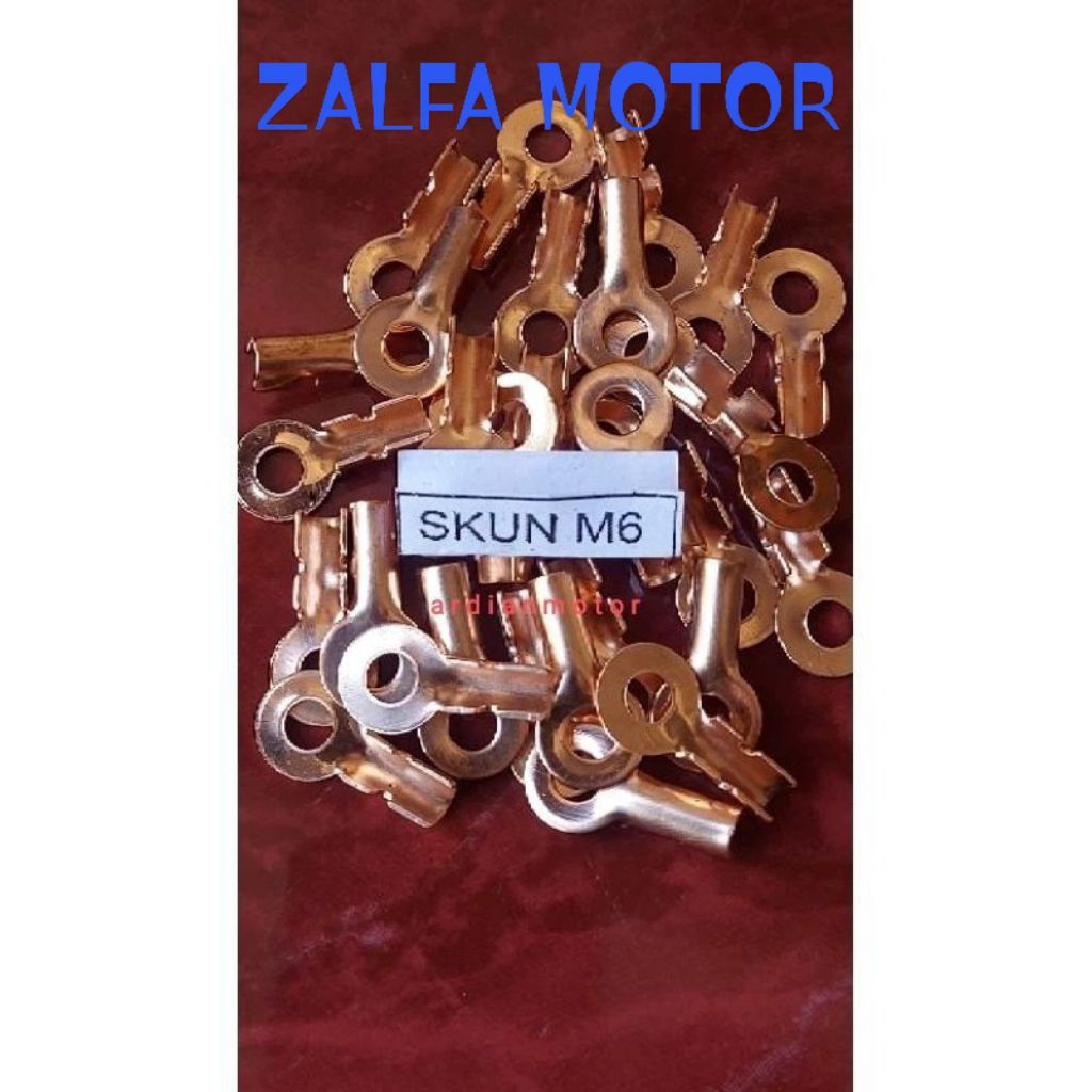 skun aki tembaga  m6