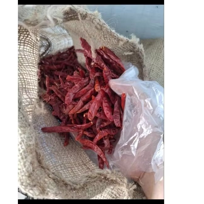 Cabe Merah Teja kering PEDAS 10kg