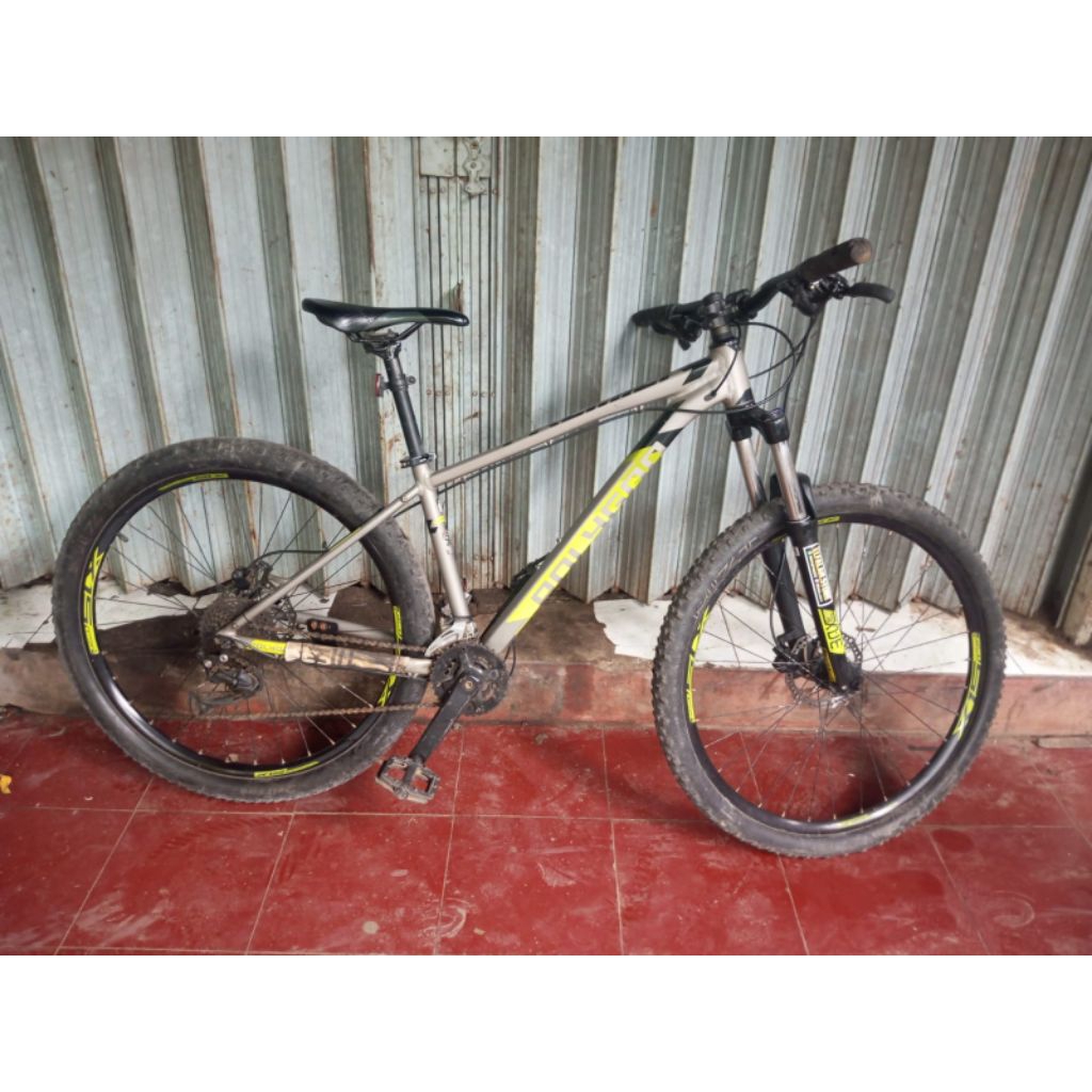 polygon premiere 5 second