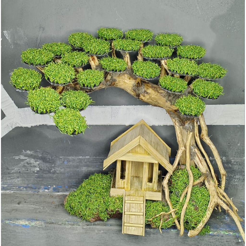 Bonsay rumah miring,lengkung Aquascape