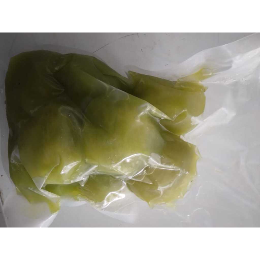 PASTI TERMURAH 1kg Kiwi Green ZESPRI MANIS Frozen Buah Beku Kiwi Hijau