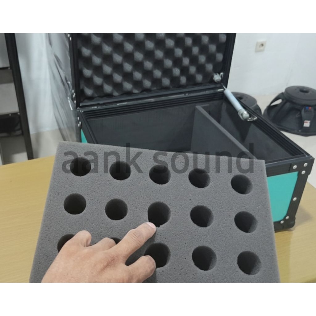 Hardcase Microphone isi 25