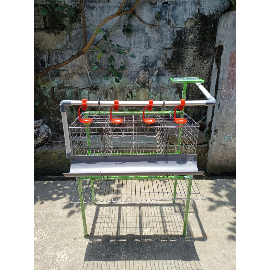 kandang ayam petelur