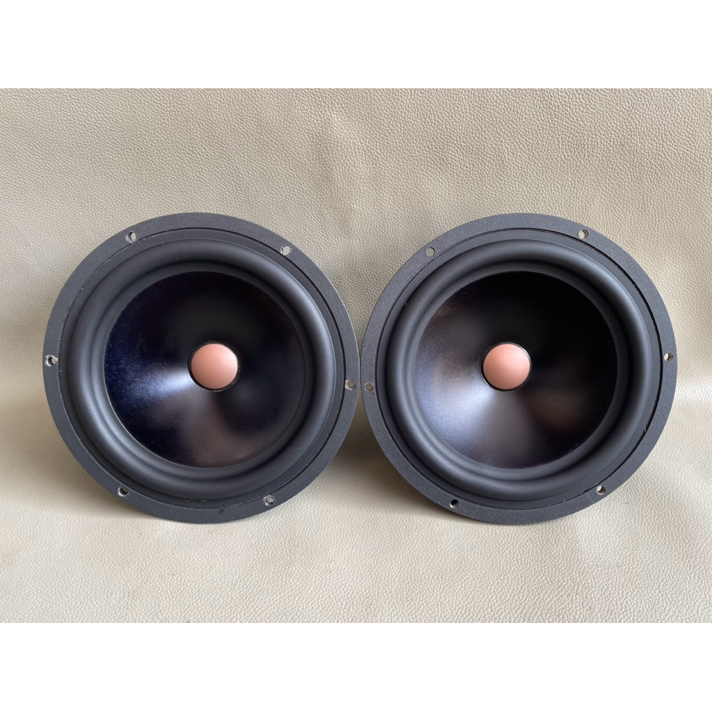 Speaker Midbass Audible Physics NZ6W