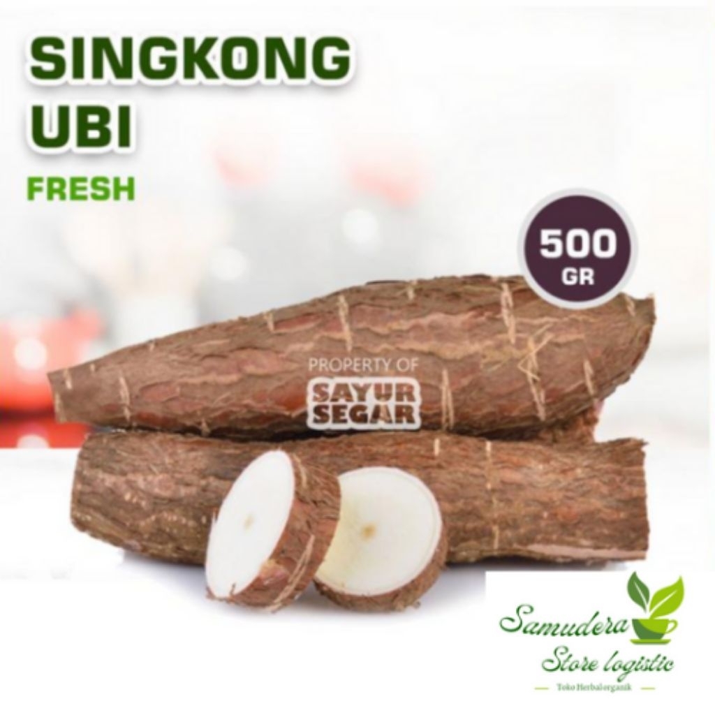 UBI SINGKONG, MENTEGA QEETELA Ubi kayu Siap olah bahan tape