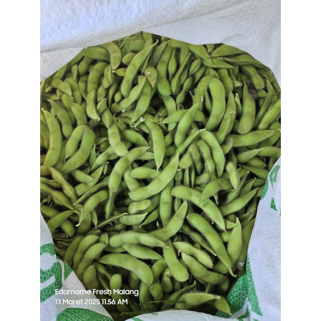Edamame Premium Malang