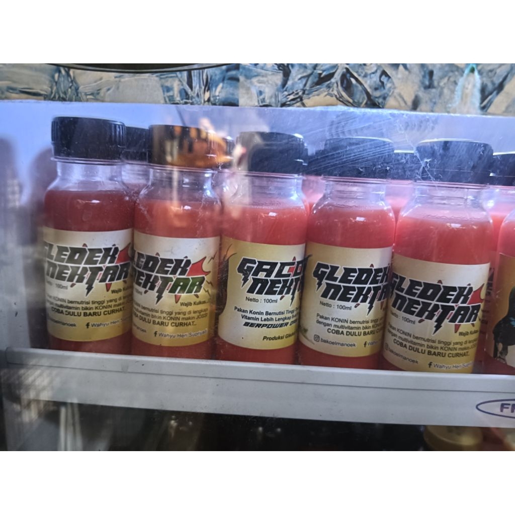 PENGGACOR COLIDRI CONIN NEXTAR GLEDEK