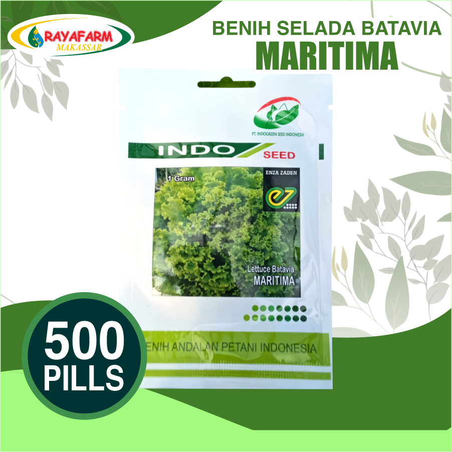 Benih Bibit Selada Batavia Maritima isi 500 Pills - Indo Seed