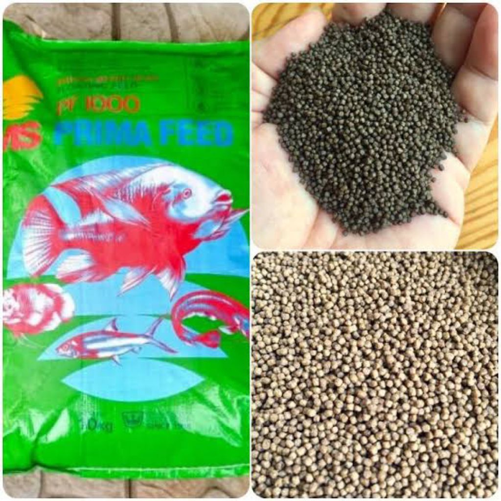 pakan benih ikan nila 1 kilogram