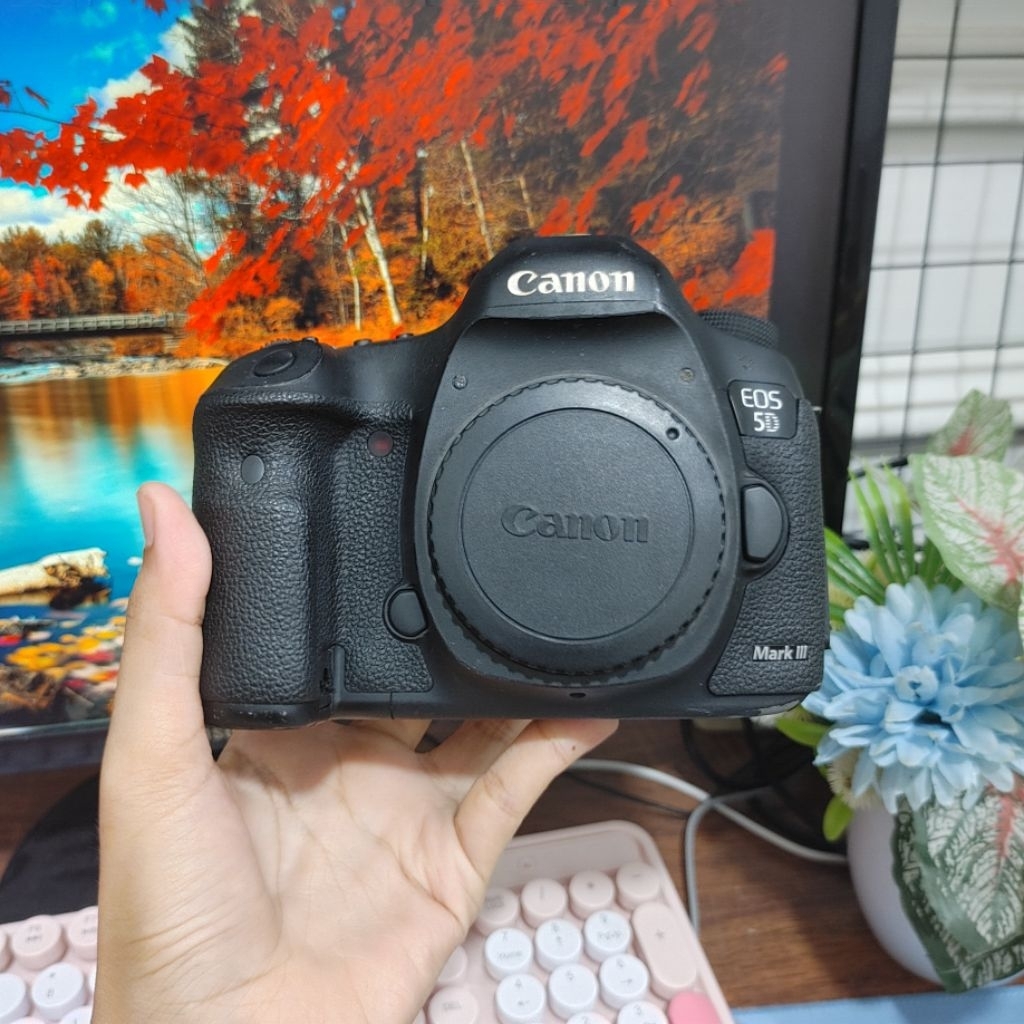 Canon 5D Mark III SC 196k