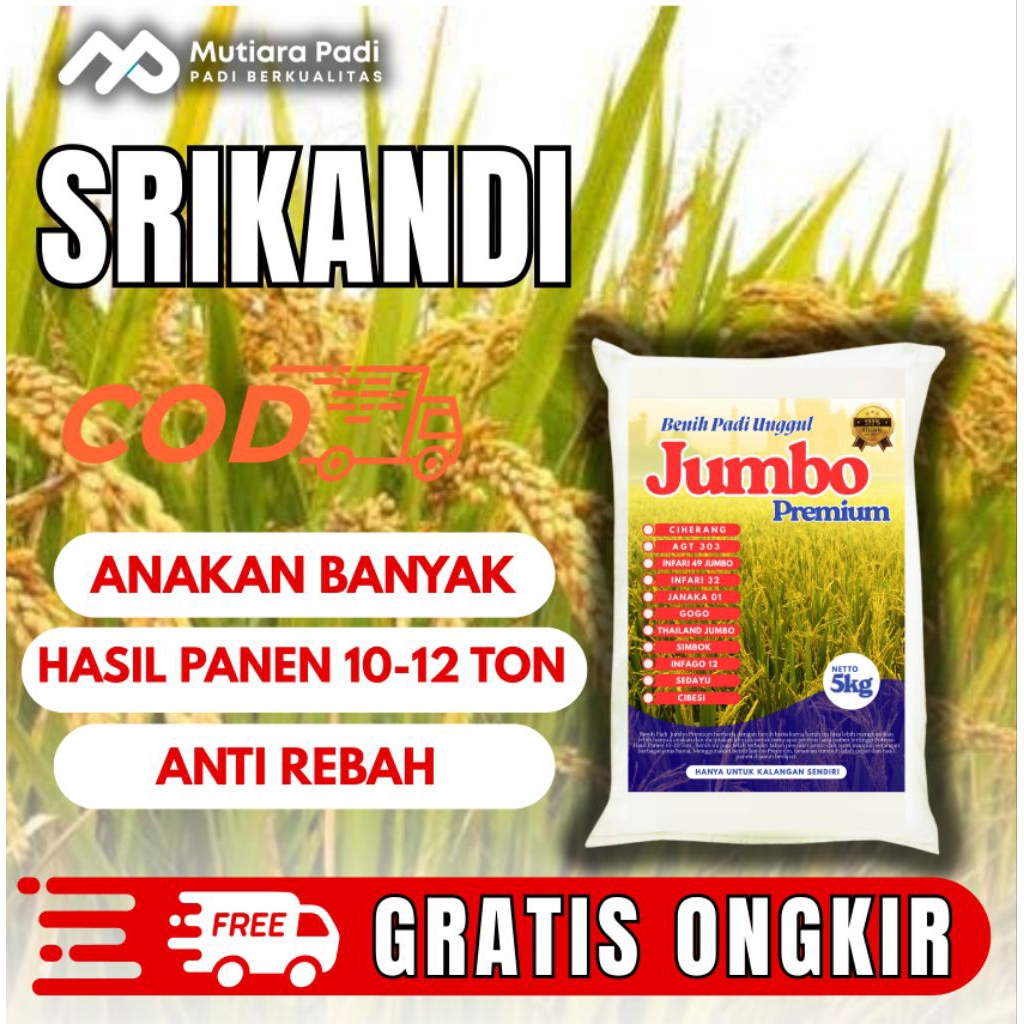 BIBIT PADI UNGGUL BERKUALITAS BENIH PADI SRIKANDI 1KG