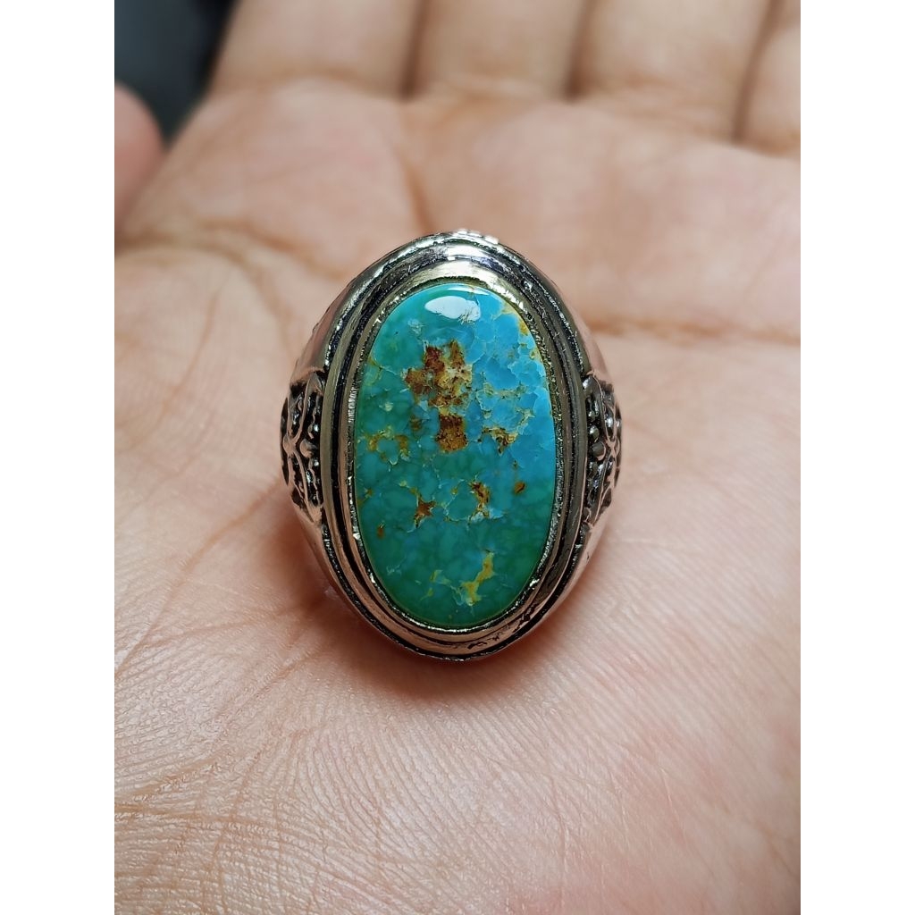 PIRUS PERSIA HIJAU GRADASI URAT EMAS