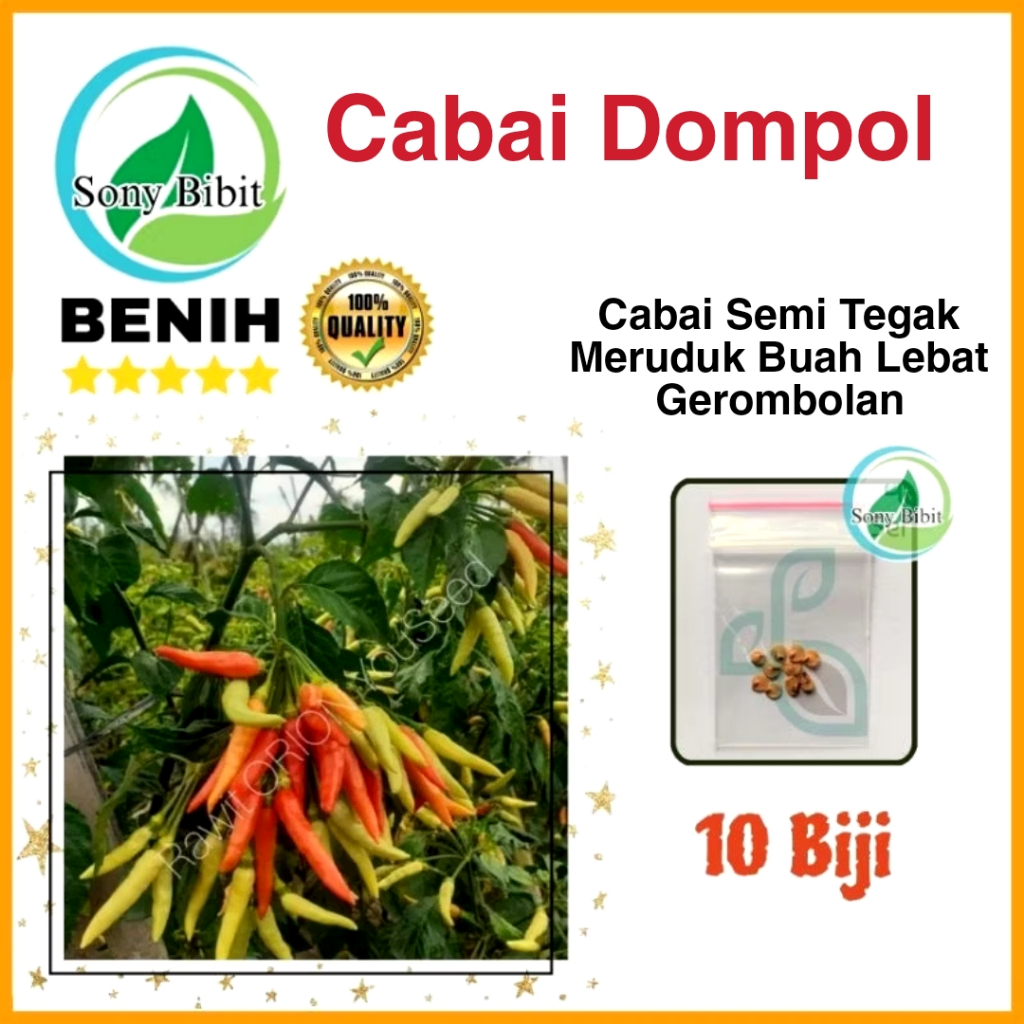 Benih Cabai Rawit Dompol Tipe Buah Dompolan